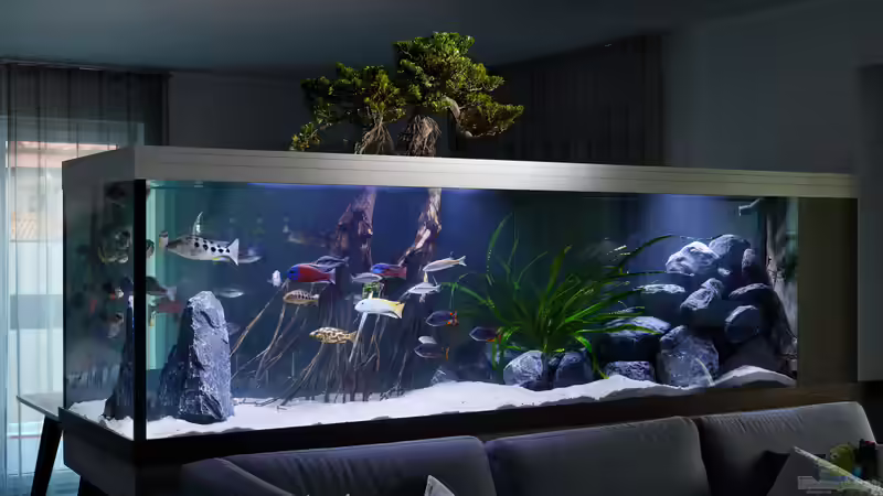 Hauptansicht Aquarium von Predator Bay 2020 von LEDaquaristik.de (1)