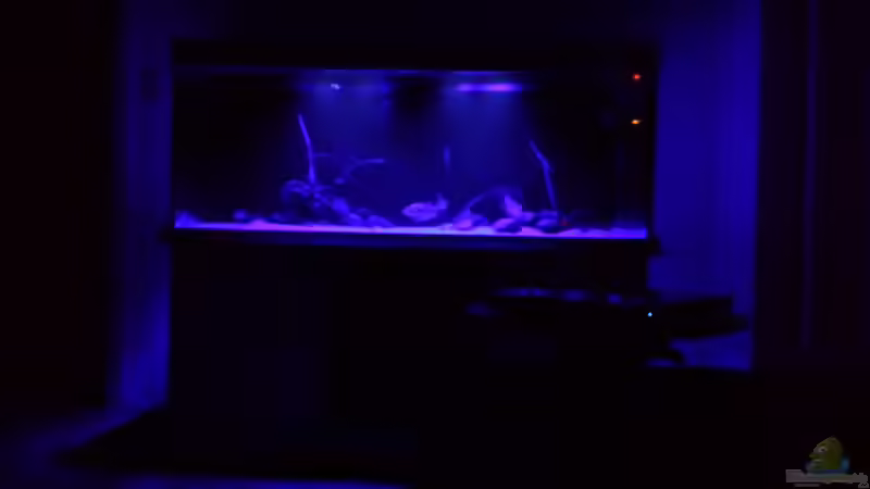 Hauptansicht Aquarium von Ragnarok von Tschoui (1)