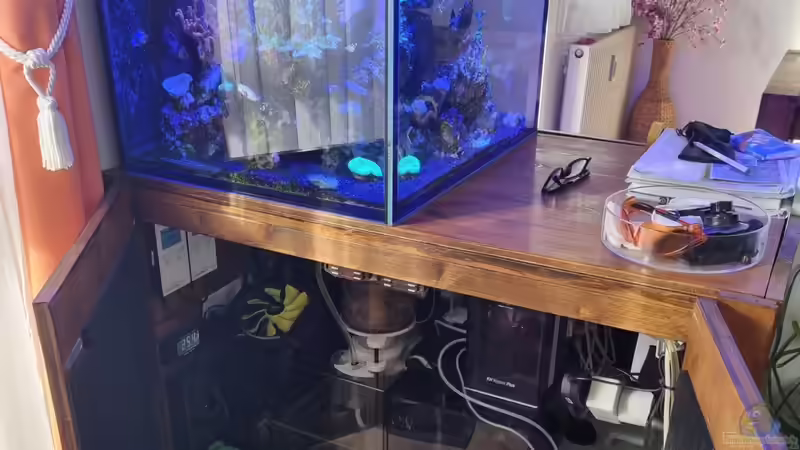 Hauptansicht Aquarium von Reeftech Addicted Obsolete von The_Lizardking (1)