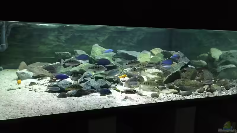Hauptansicht Aquarium von Rift Valley von Monaco (1)