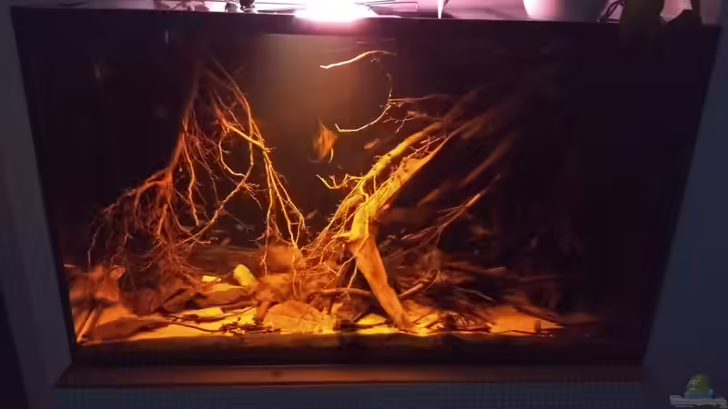 Hauptansicht Aquarium von Rio Negro - aufgelöst - nur noch als Beispiel von pacho (1)