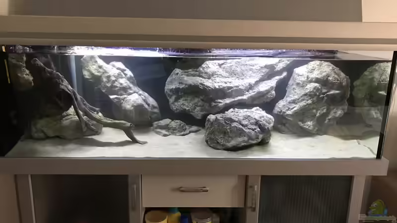 Hauptansicht Aquarium von Tanganjika 3.0 von Marco (1)