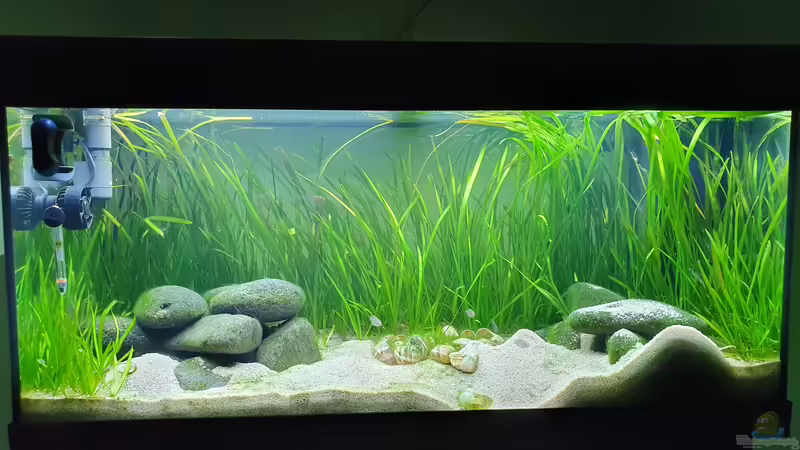 Hauptansicht Aquarium von Tanganjika Biotop von Matt Bros (1)