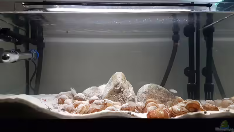 Hauptansicht Aquarium von The dwarven kingdom von southheart (1)