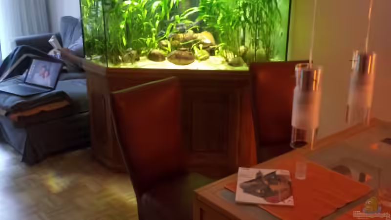 Hauptansicht Aquarium von to be continued (nur noch als Beispiel) von schmitzkatze (1)