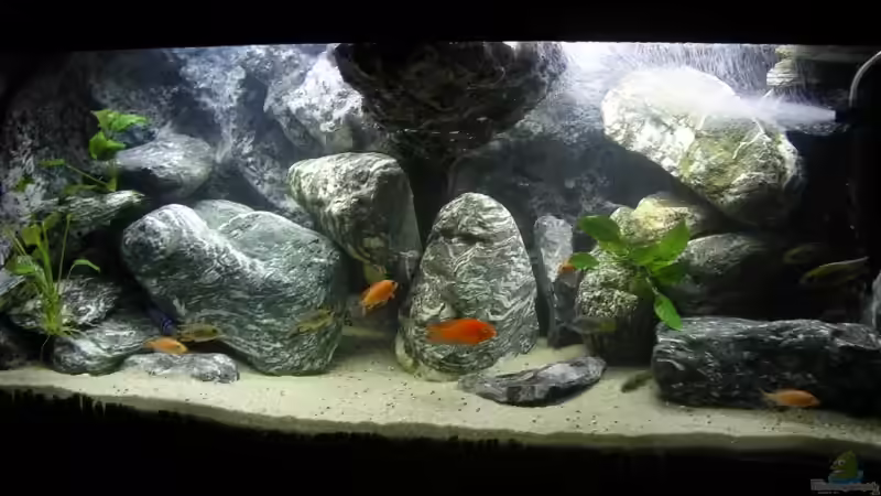 Hauptansicht Aquarium von Verdi Point von magunga rock (1)