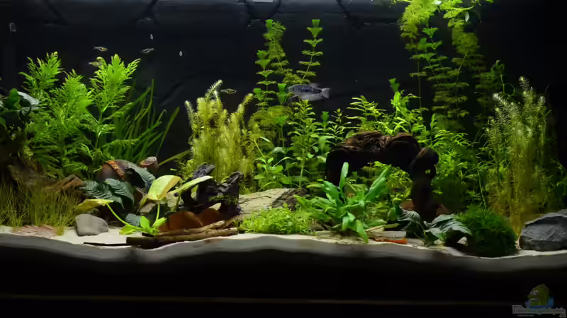 Hauptansicht Aquarium von Waterworld von gefjon (1)