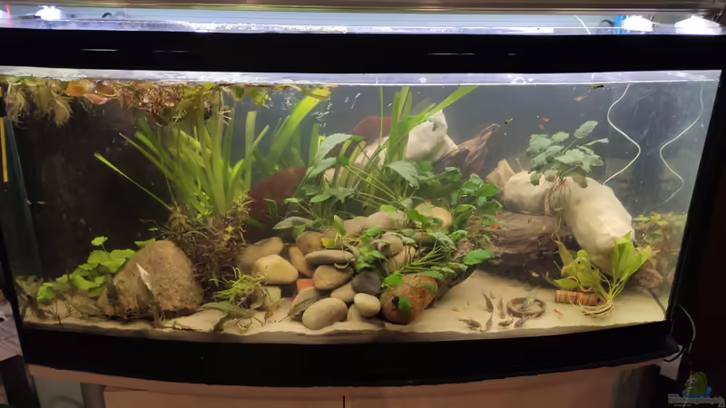 Hauptansicht Aquarium von Wohnzimmer Vers. 2 von SoSi (1)
