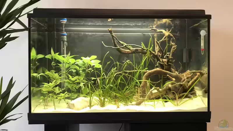 Hauptansicht Aufenthaltsaquarium von Raven887 (4)