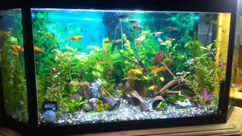 Hauptansicht aus dem Wohnzimmer  von Paul Klekar (1)