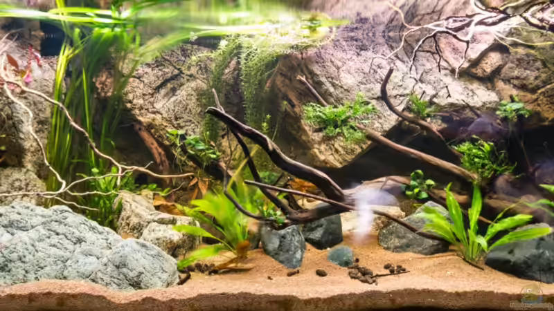 Hauptansicht Becken - 08.12.2013 - Beleuchtung max von GoreSlayer (21)