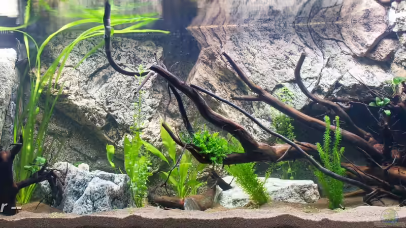 Hauptansicht Becken (nach Befüllung) von GoreSlayer (12)