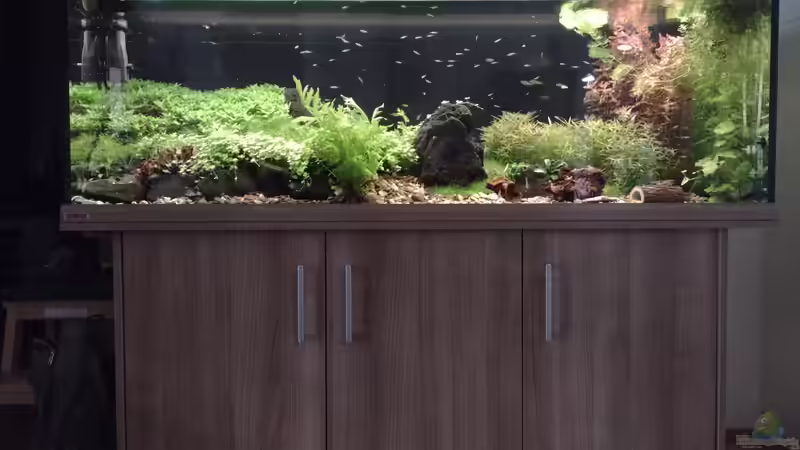 Hauptansicht bei Sonnenaufgang v. 11.02.2024 von C-NA (17)