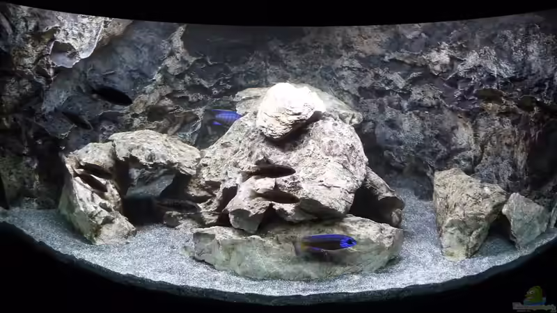 Hauptansicht des Beckens von DER YBBSTALER (2)