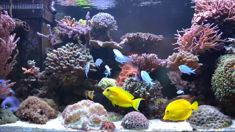 Hauptansicht II 26.12.2012 von berchti555 (4)