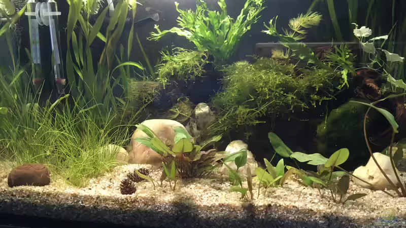 Hauptansicht im März 2021 von Maji (1)