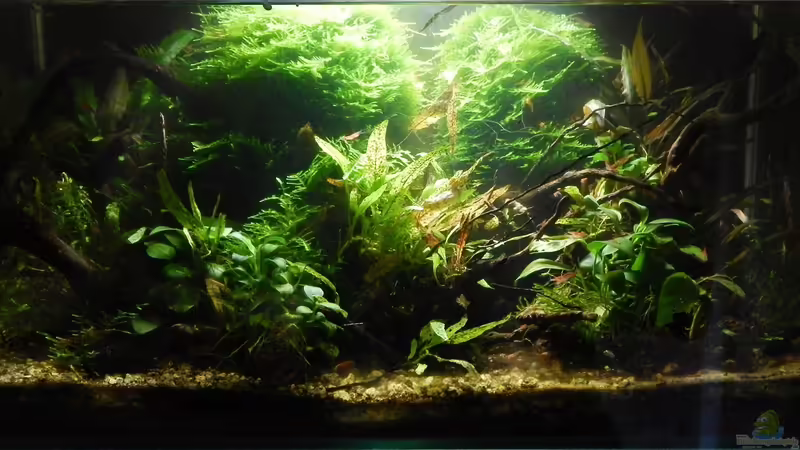 Hauptansicht im September 2015 von Stefan_S (1)