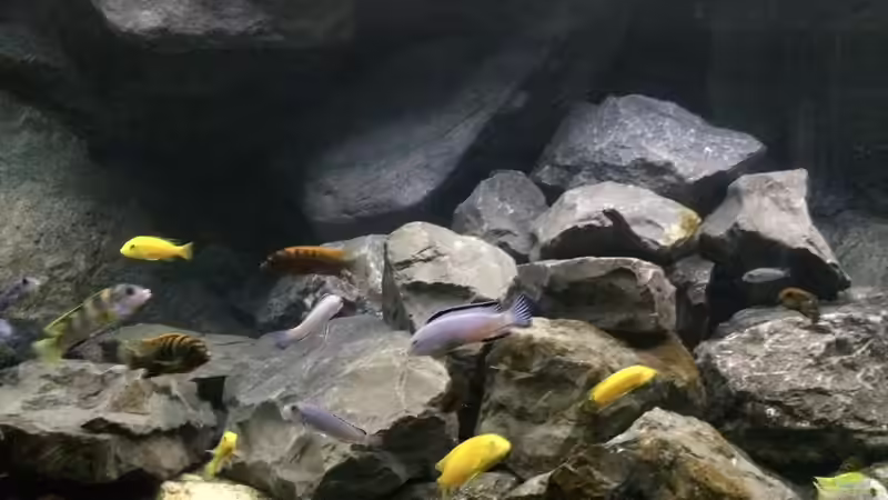 Hauptansicht nach Neugestaltung von Tobias.Neher (1)