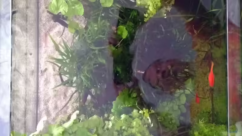 Hauptansicht oben bei Wartungsarbeiten 17.03.2018 von C-NA (6)