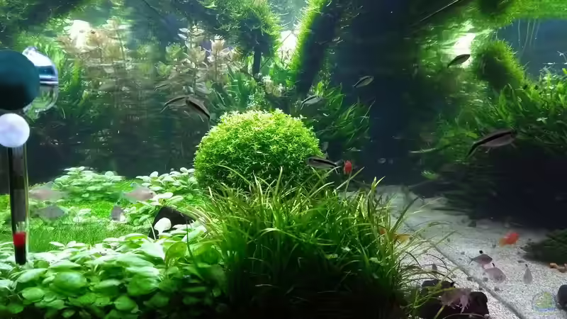 Hauptansicht Seite 17.03.2018 von C-NA (4)