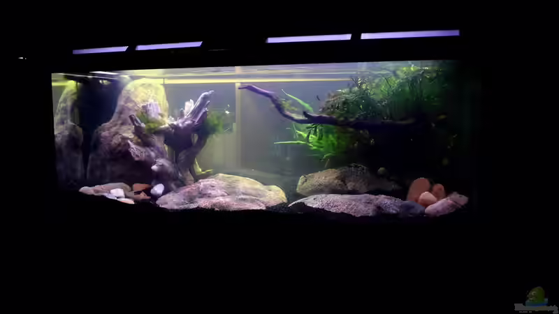 Hauptansicht Stand 09.02.2014 von snooze (6)