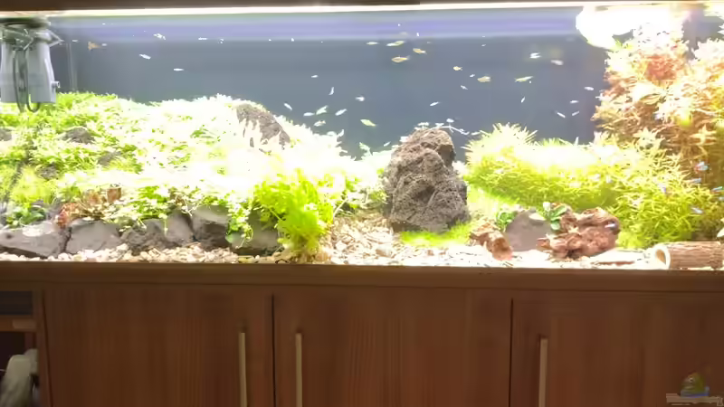 Hauptansicht v. 11.02.2024 von C-NA (1)