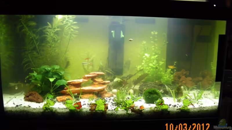 Hauptansicht von Bienchen1976 (1)