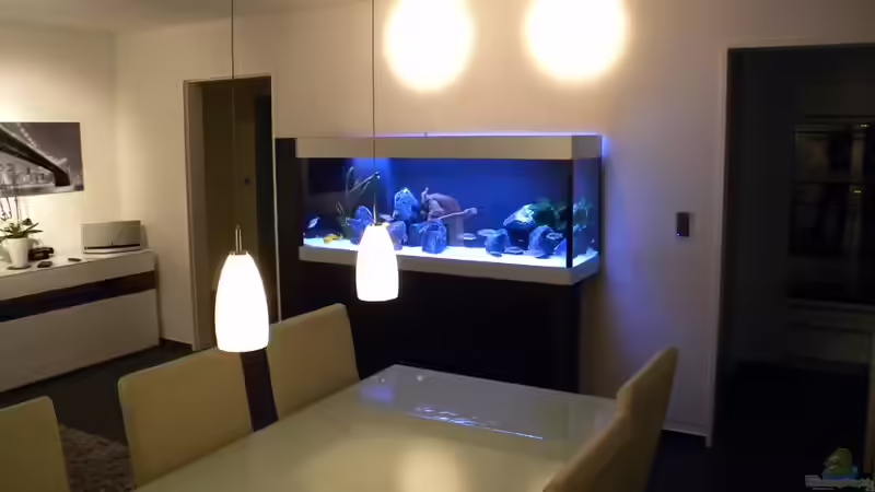 Hauptansicht von flightsim (20)