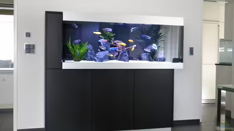 Hauptansicht von flightsim (23)