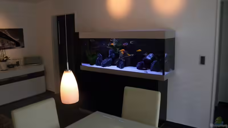 Hauptansicht von flightsim (24)