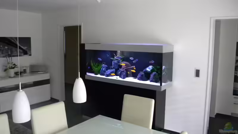 Hauptansicht von flightsim (25)