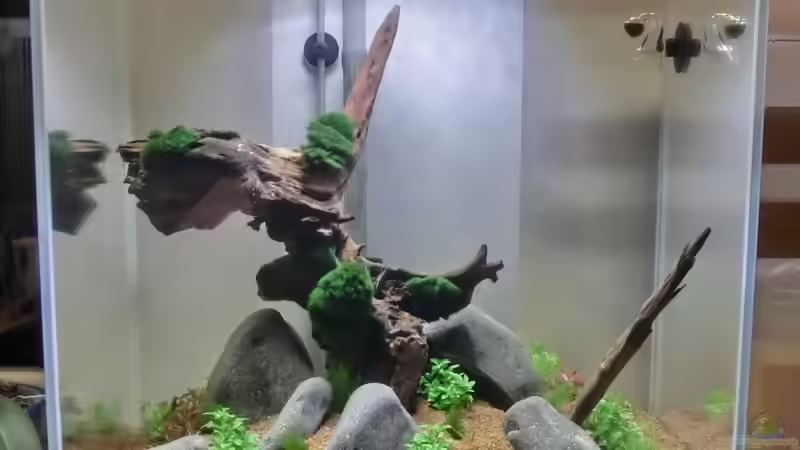 Hauptansicht von GoreSlayer (2)