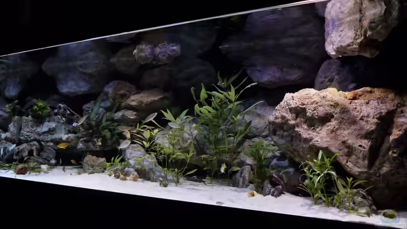 Hauptansicht von Martina (14)