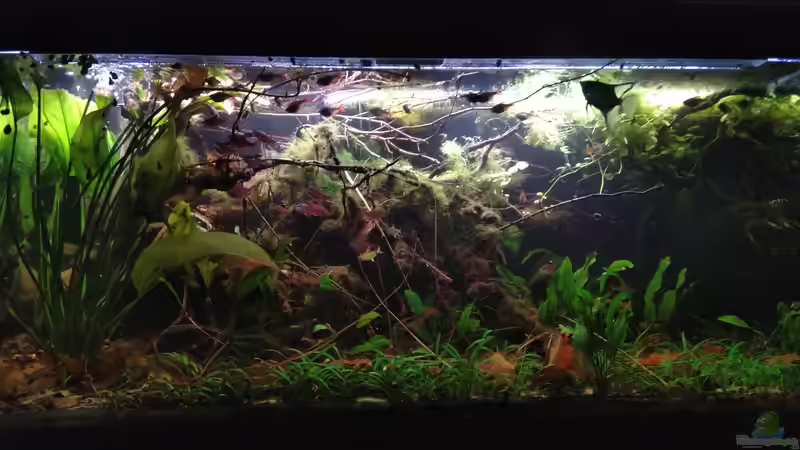 Hauptansicht von SaMü (12)