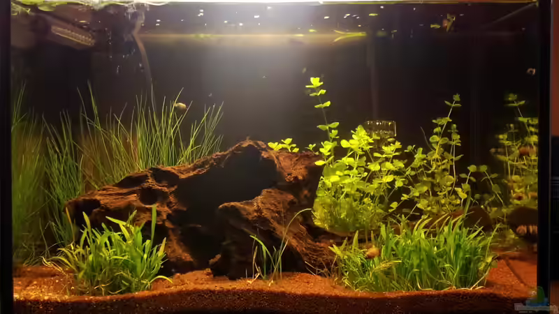 Hauptansicht von Stefan von Oettingen (1)