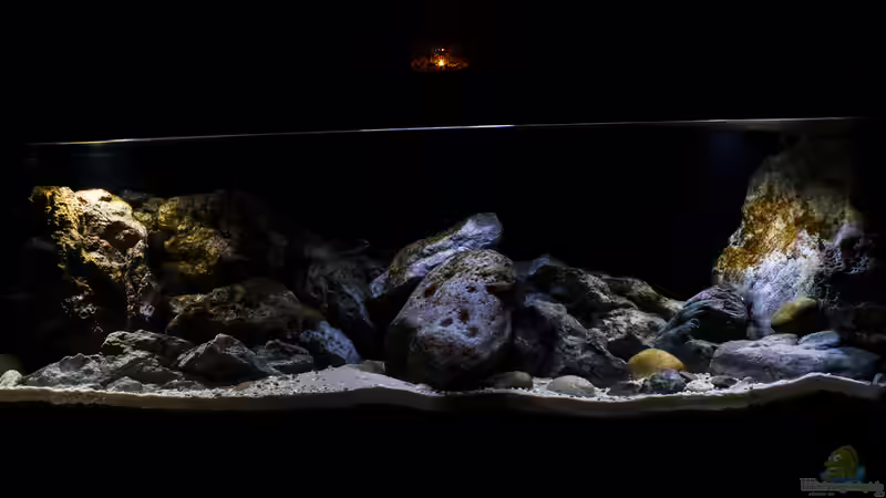 Hauptansicht von StevenS (1)