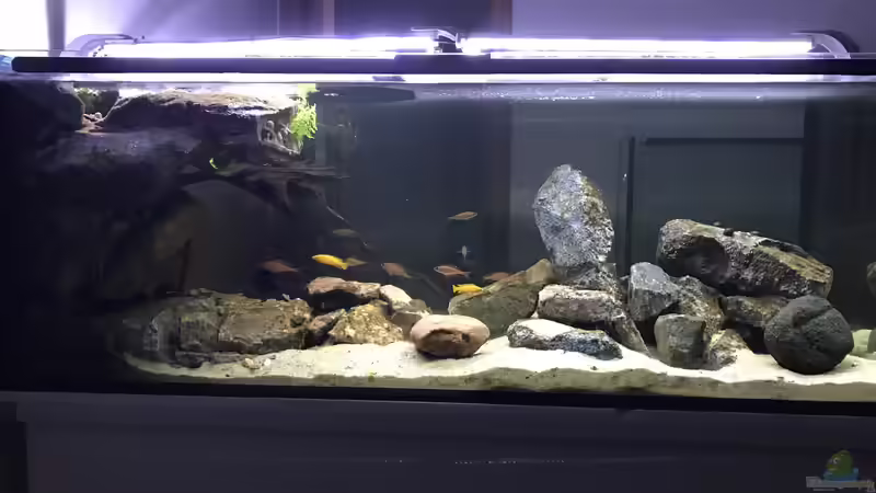 Hauptansicht von Tanganjika Raumteiler //1 von Callespeed (1)