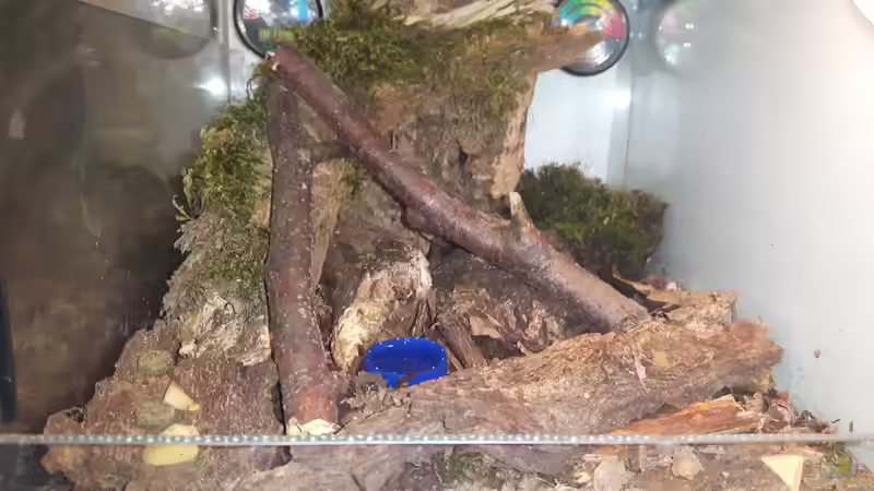 Hauptansicht von Terrarium 33235 von Fixel