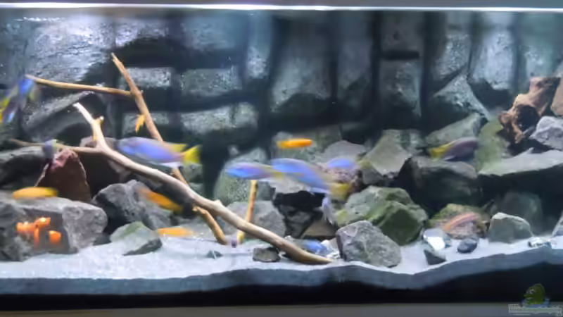 Hauptansicht von Tim Mek (1)