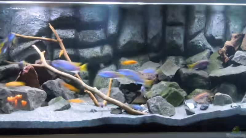 Hauptansicht von Tim Mek (2)