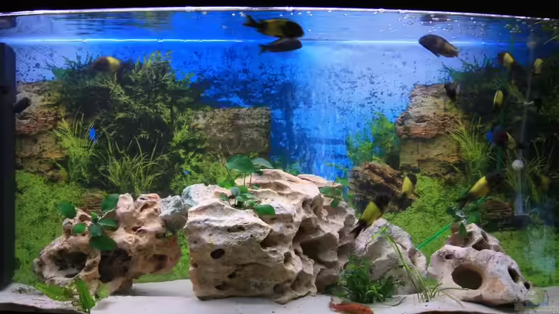 hauptansicht von Turgut Sen (2)