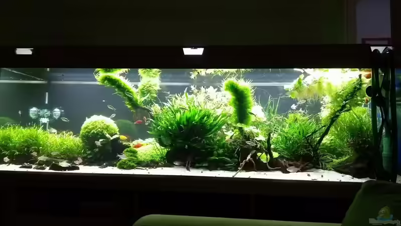 Hauptansicht vorn 17.03.2018 von C-NA (2)