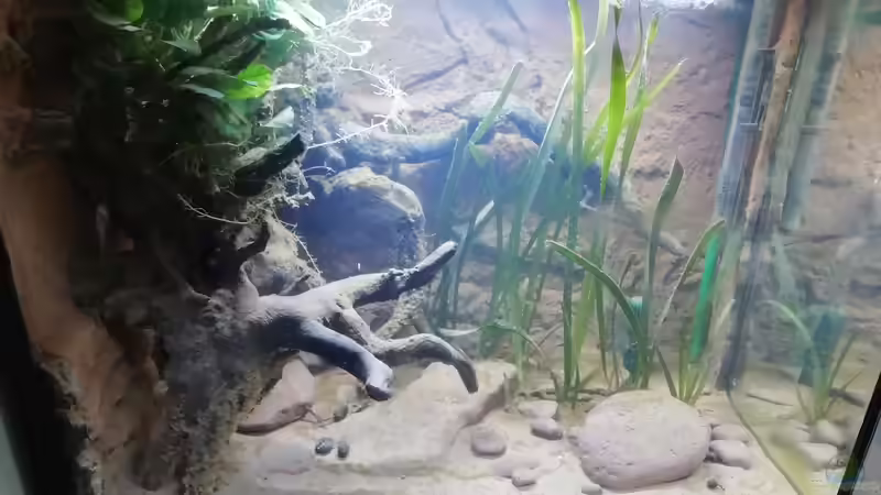 Hauptansicht vorne 07.03.22 von - Stephen - (7)