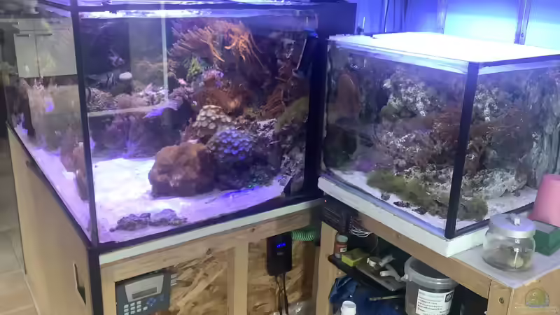 Hauptbecken und zweites neues Becken  von Diver (5)