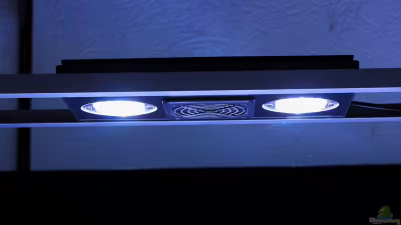 Hauptbeleuchtung - linke Seite von Micha (32)