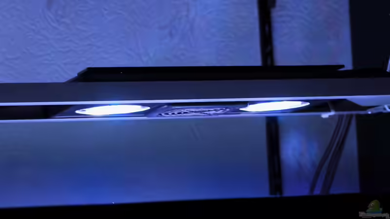 Hauptbeleuchtung - rechte Seite von Micha (33)