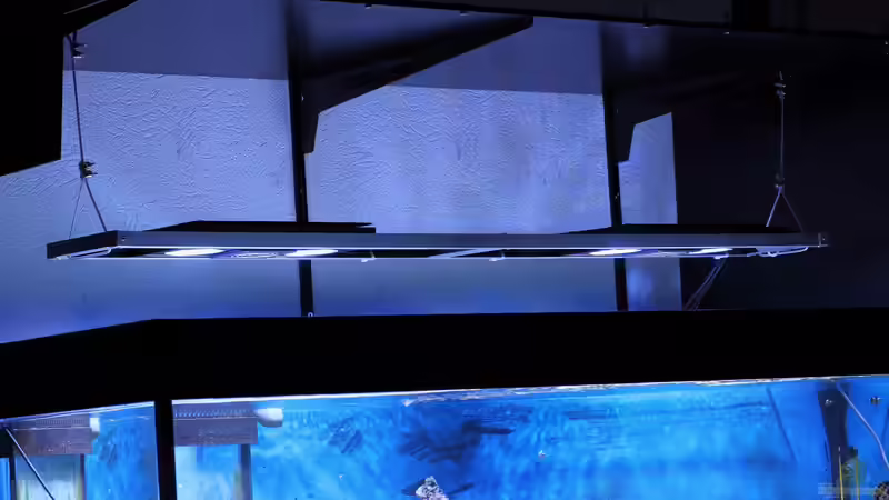 Hauptbeleuchtung von Micha (31)