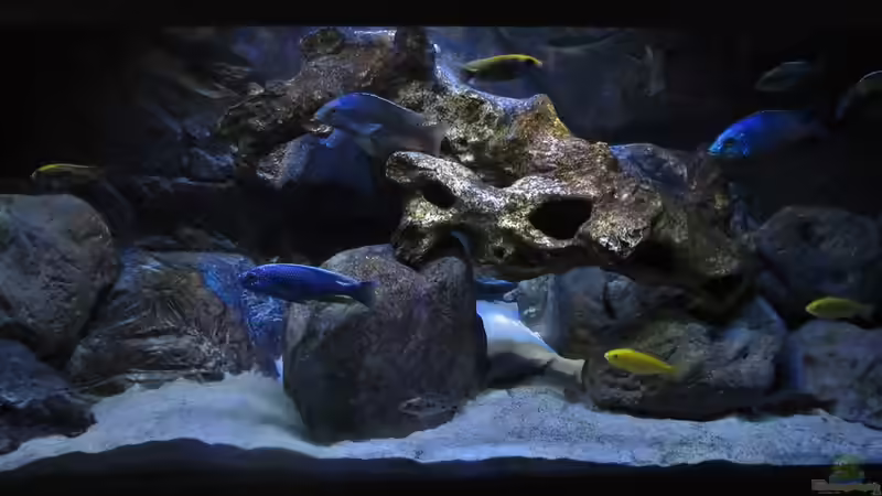 Hauptbeleuchtung von Steffen G (8)