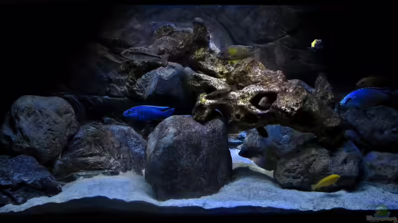 Hauptbeleuchtung von Steffen G (9)