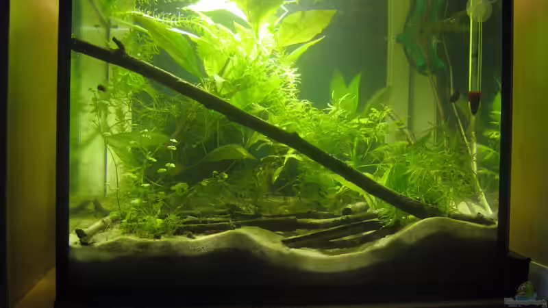 Hauptbild :) von chrisi01 (1)